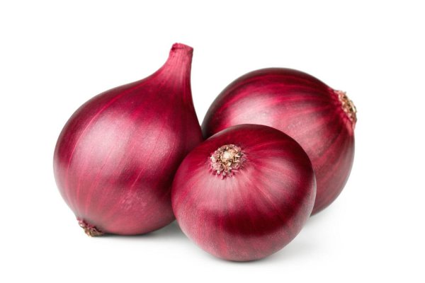 Gydra onion